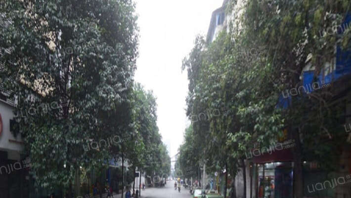 石马巷4号附10号外景图