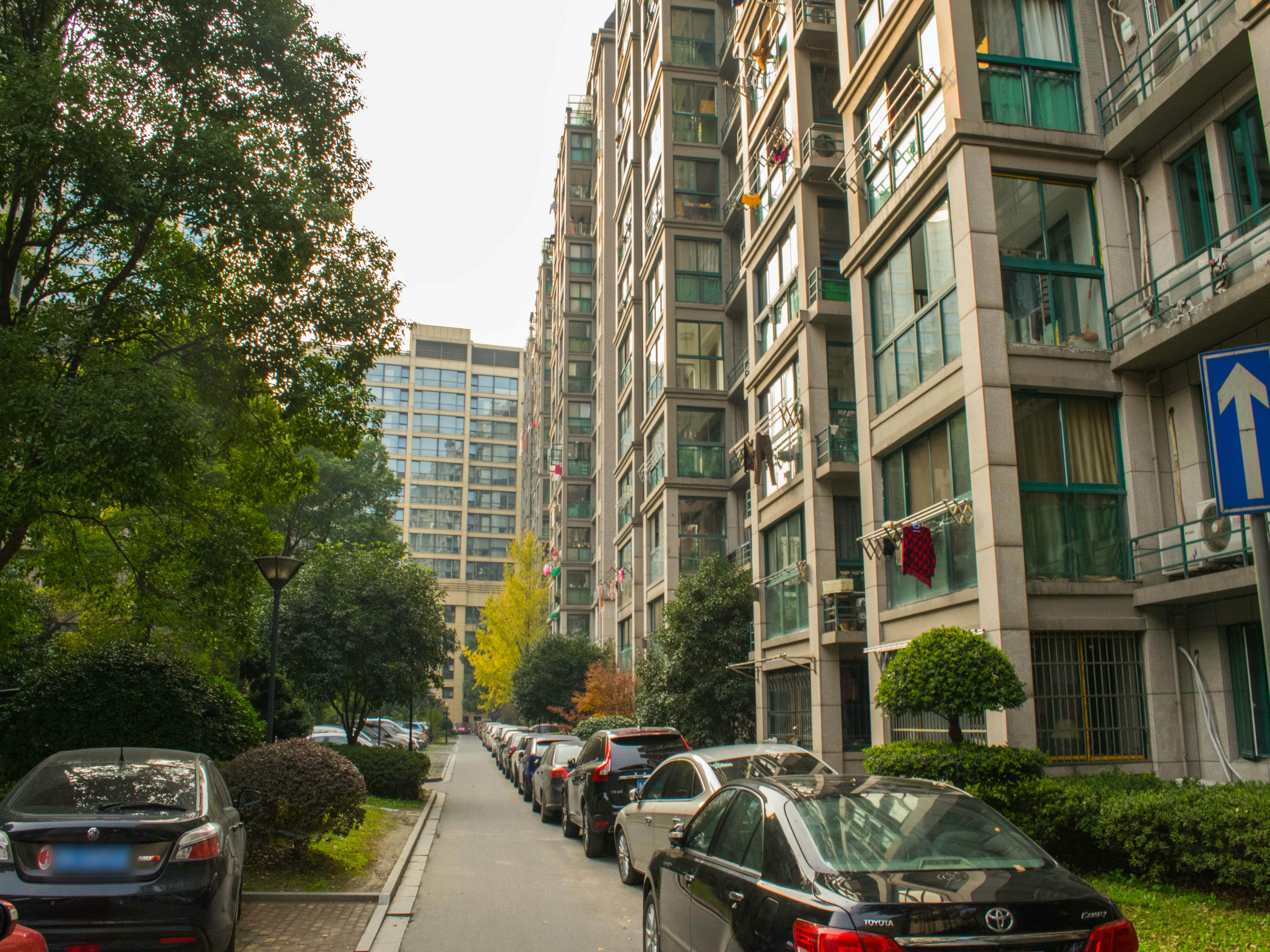 浅水湾城市花园小区实景 20