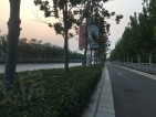 正弘中央公园实景图