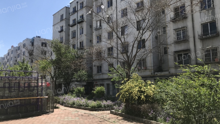 泰山小区外景图