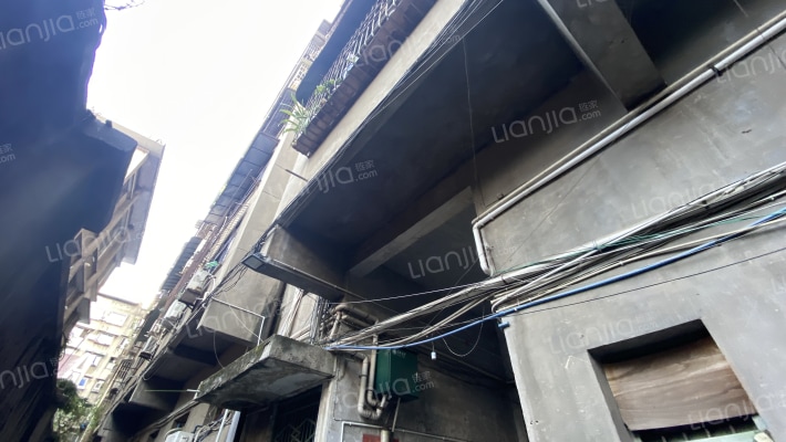 新民街313号外景图