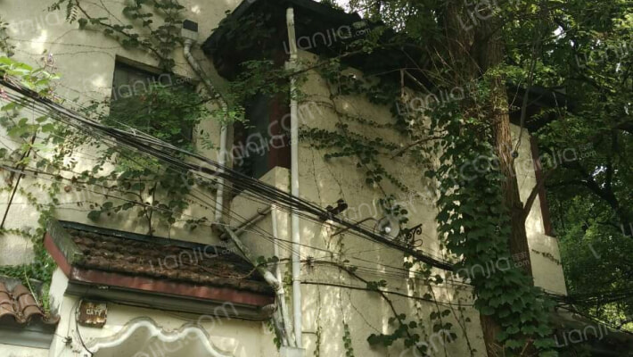 安亭路81弄外景图