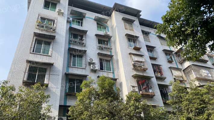 江安东一街6号外景图