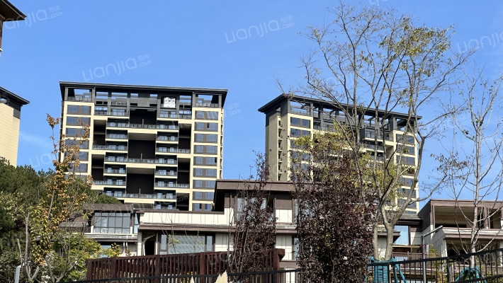 保利公园2010檀香外景图