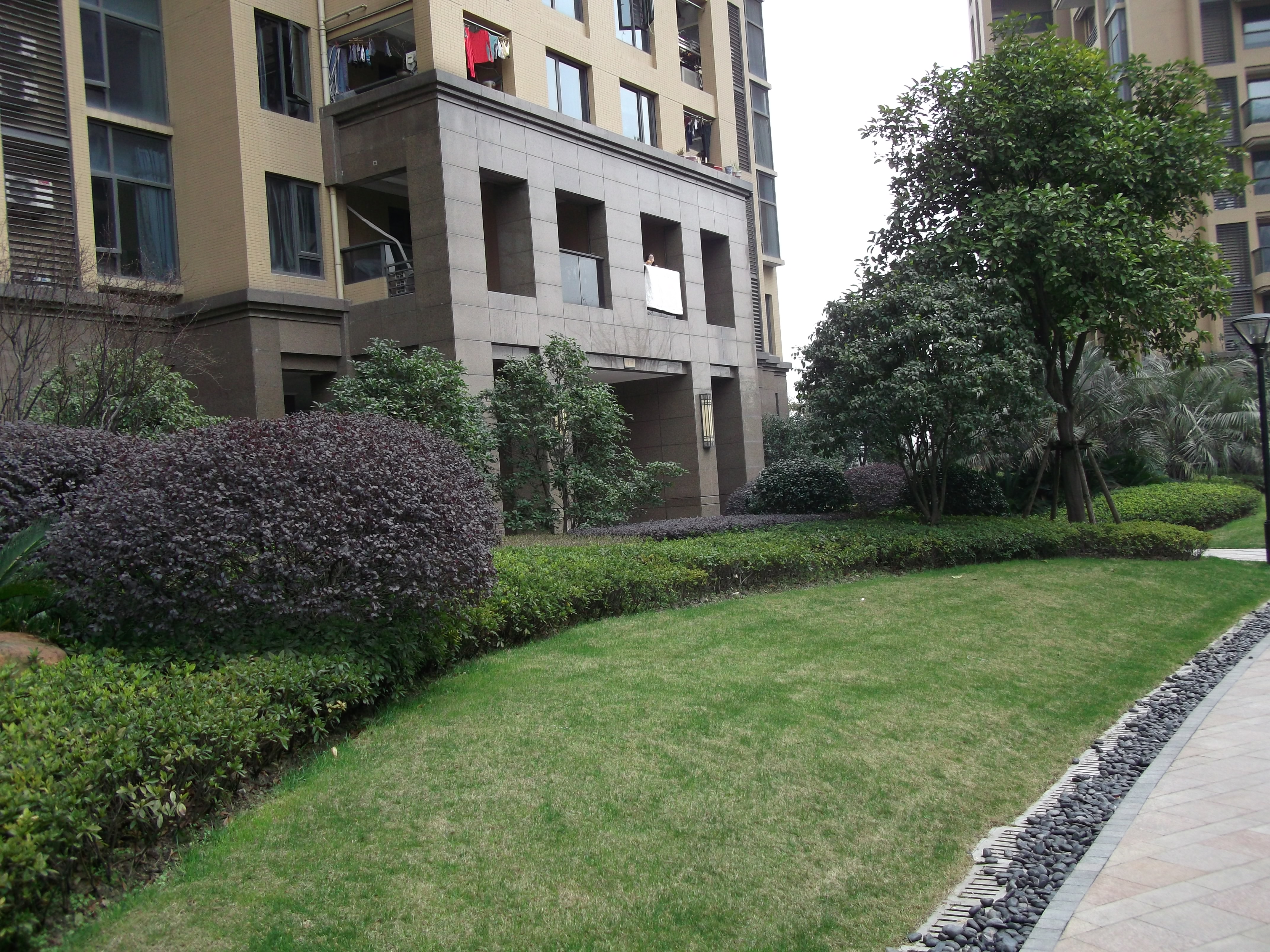 万家花城小区实景 6