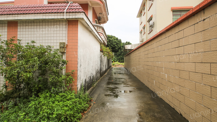 神涌小区外景图