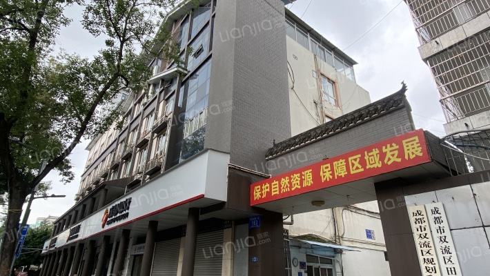 棠湖西路一段163号外景图