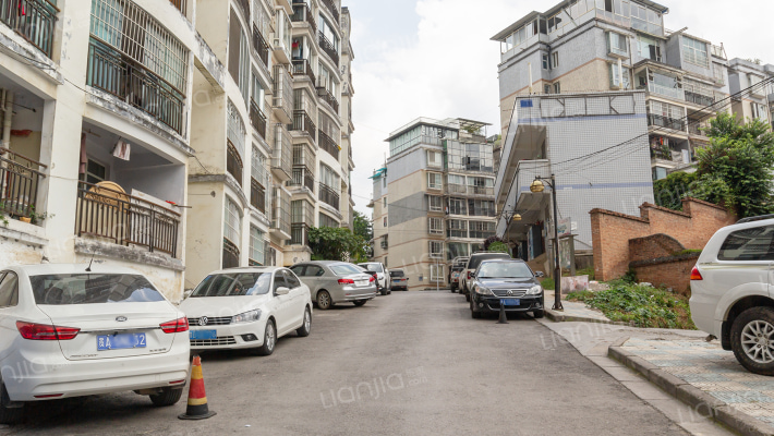 碧树云天外景图