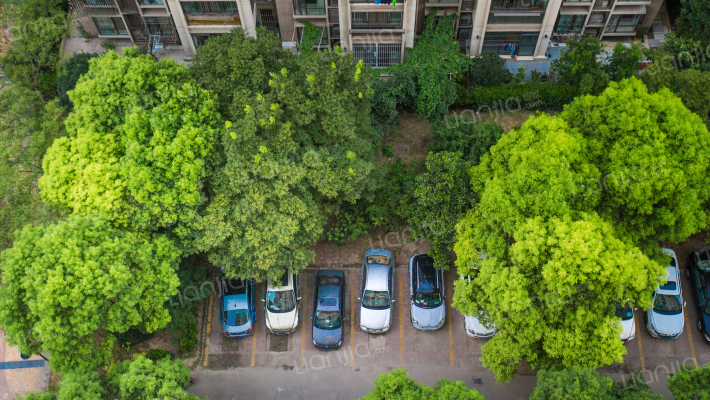 大上海紫金城外景图