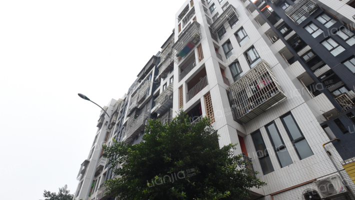 泽科兴城A区外景图