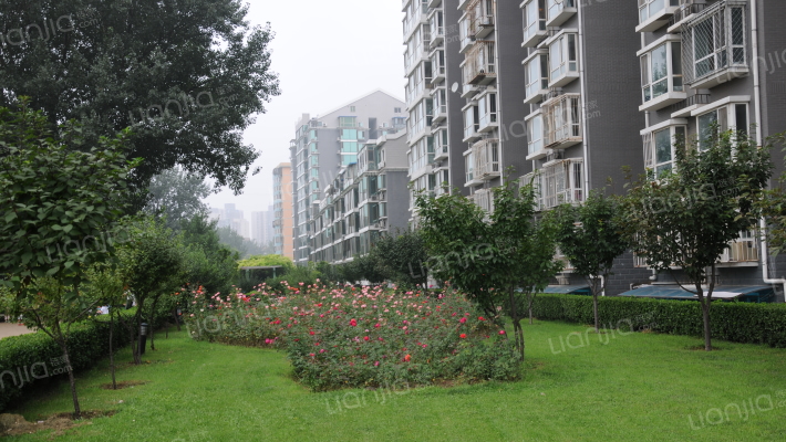 清缘东里外景图