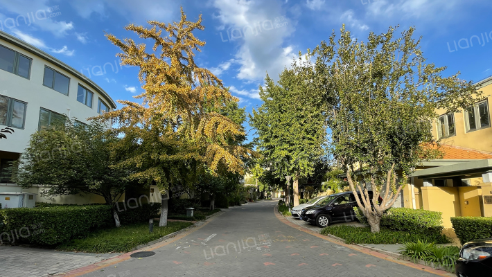 雪梨澳乡B区外景图