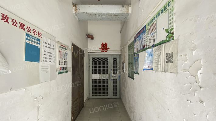 莘浜路215弄外景图