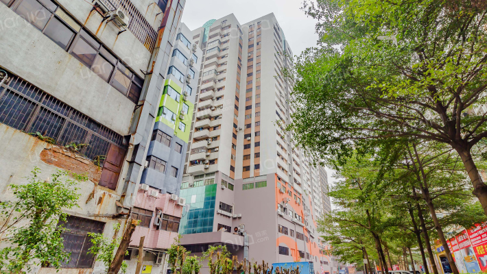 西苑广场外景图