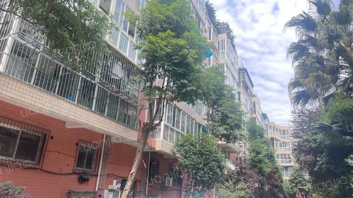 东泰新居外景图