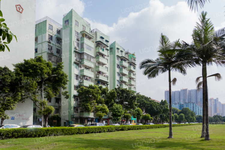 棠德花园 广州棠德花园二手房 房价 租房 广州贝壳找房