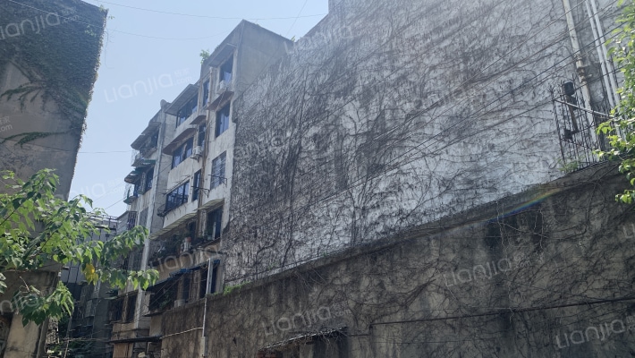 安仁东街23号外景图