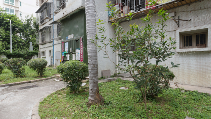 武夷花园外景图