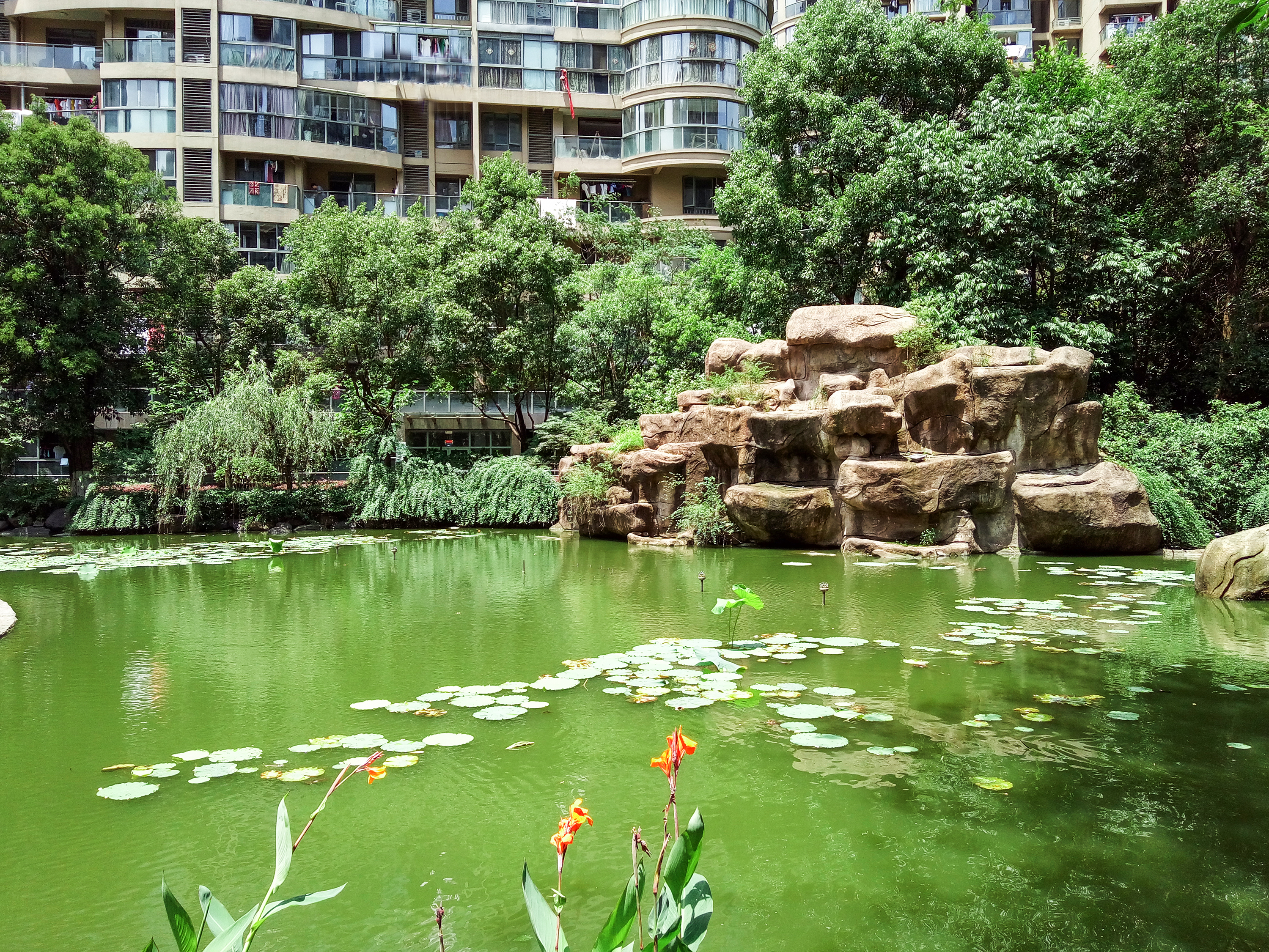 红街公寓小区实景 2