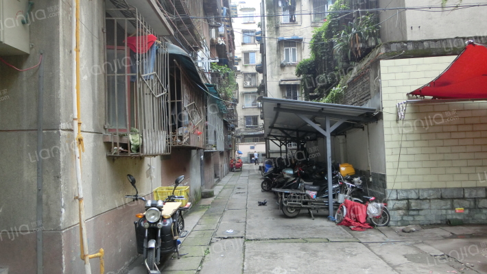 泡桐树街16号外景图