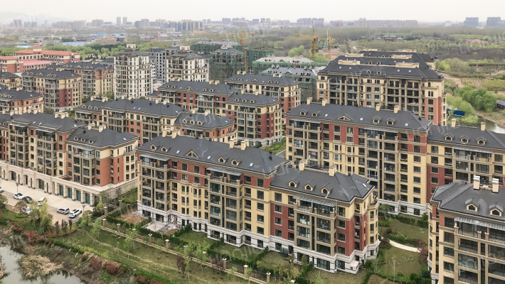 绿城百合外景图