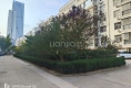 新城花园户型图实景图