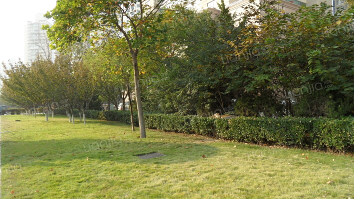 世纪大厦外景图