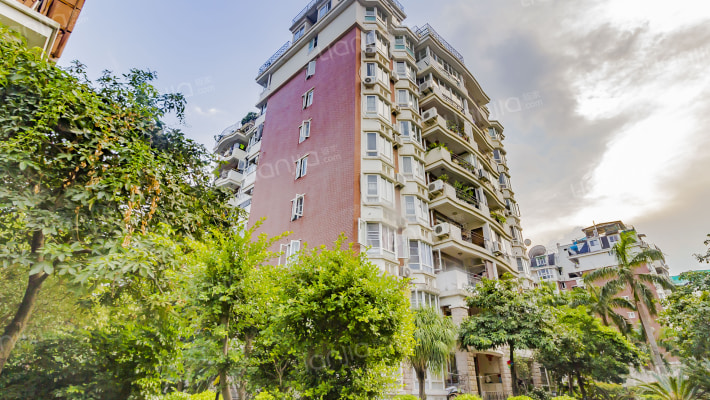 巴黎之春外景图