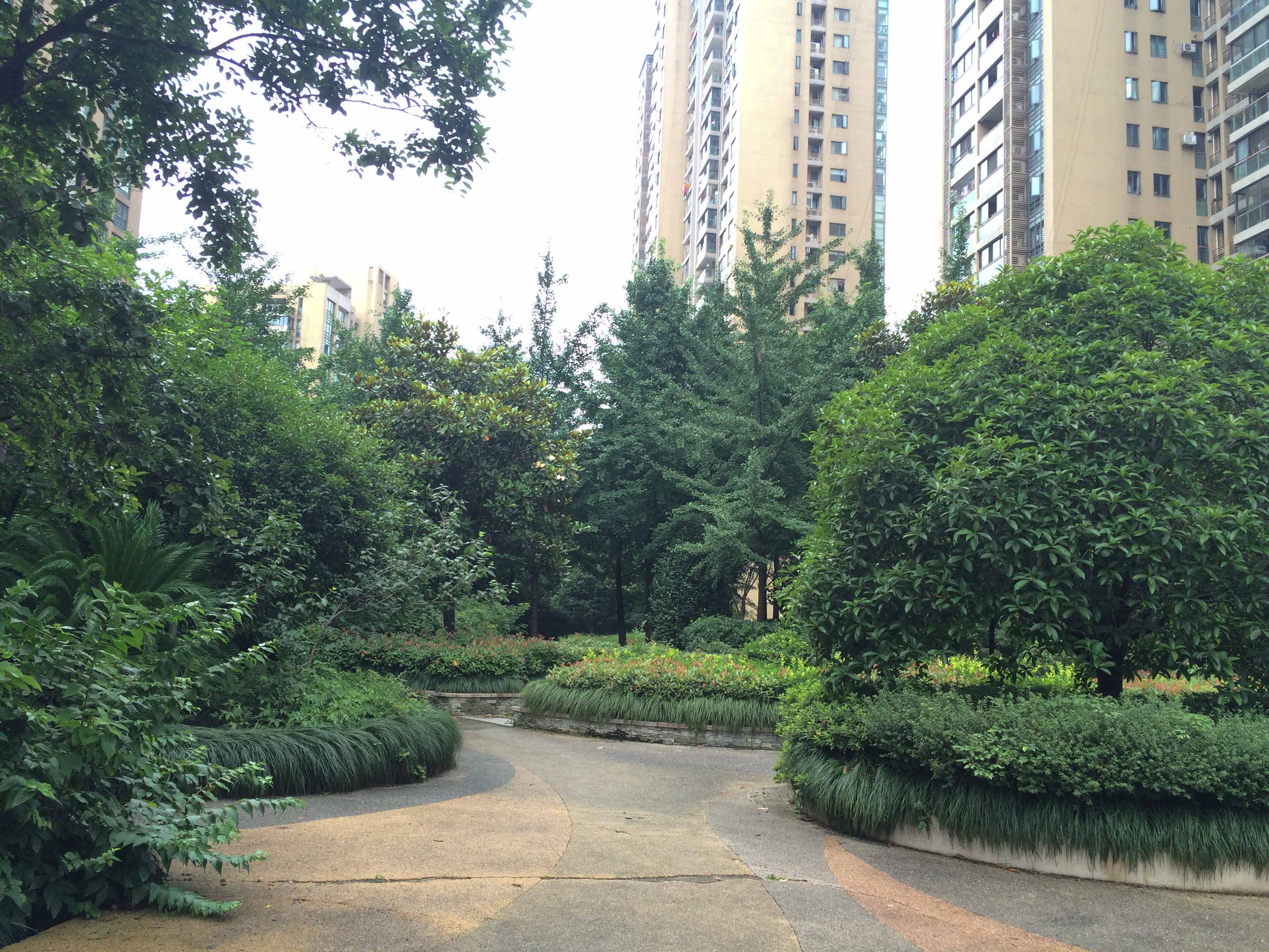  风雅钱塘小区实景 5