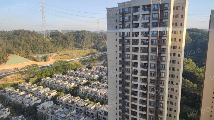 中信红树山外景图