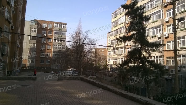 商水支路4号小区外景图