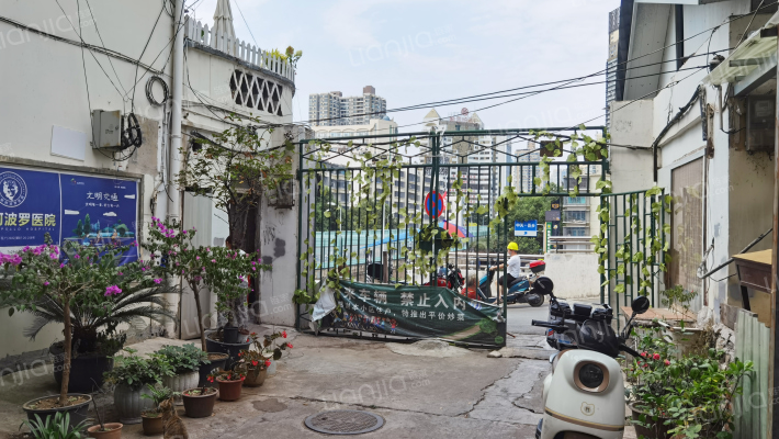 狮子路4号外景图