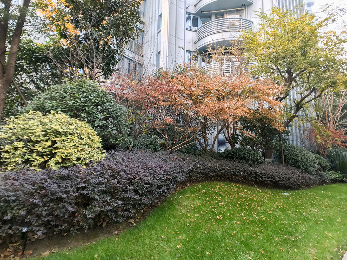 东方御府小区实景 21