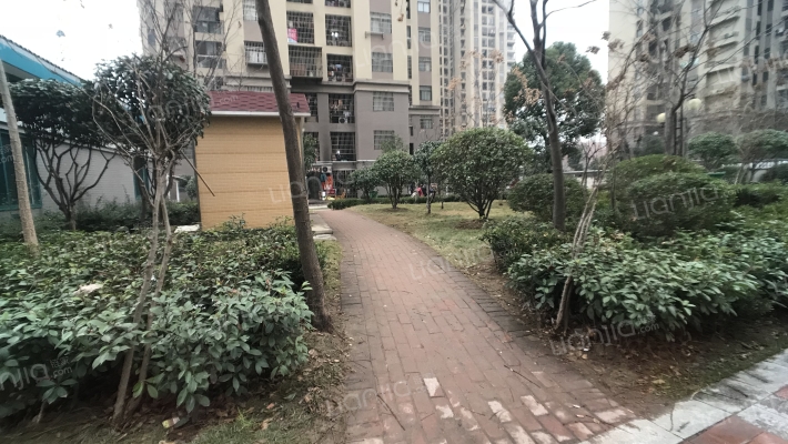 红旗欣居A区外景图