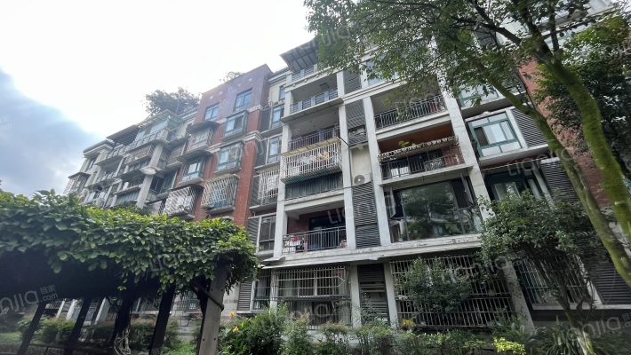 都市美丽洲外景图