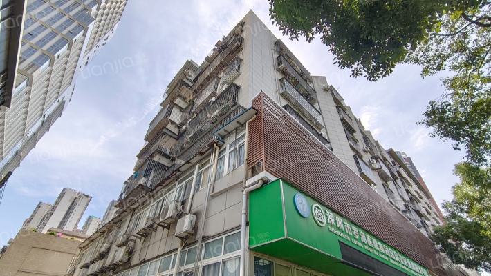 田苑经济综合楼外景图