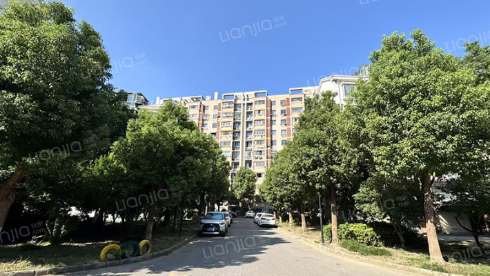 金枫家园外景图