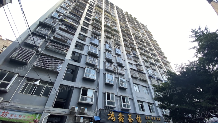 东门丽景外景图