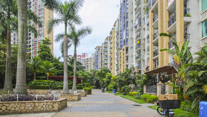 阳光棕榈园三期外景图