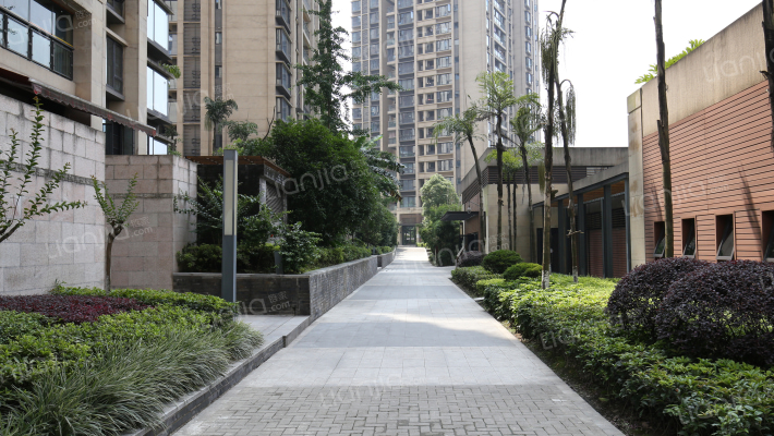 雍江悦庭外景图