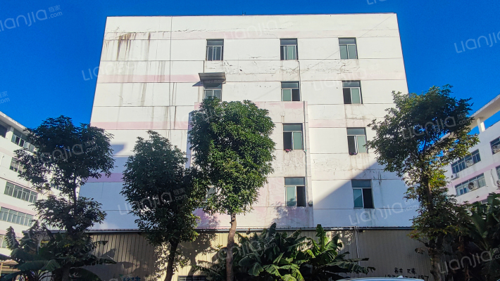 五星路471号外景图