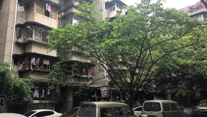 牧电巷38号外景图