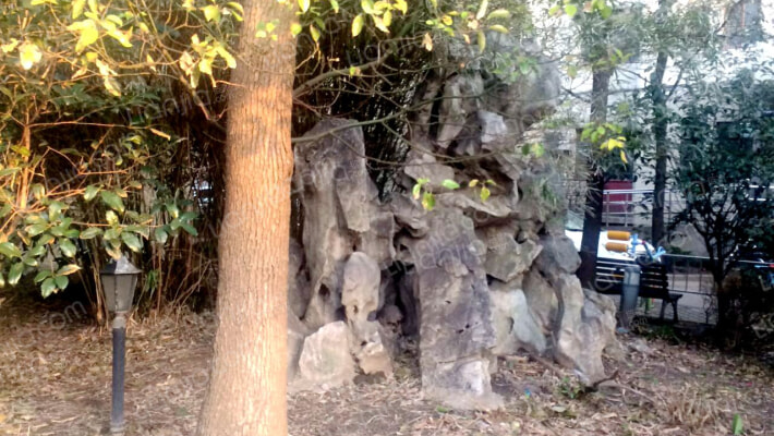 中王小区外景图