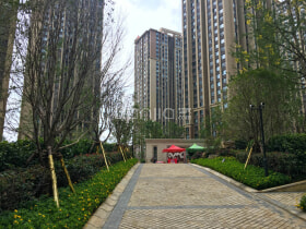 蓝光天娇城