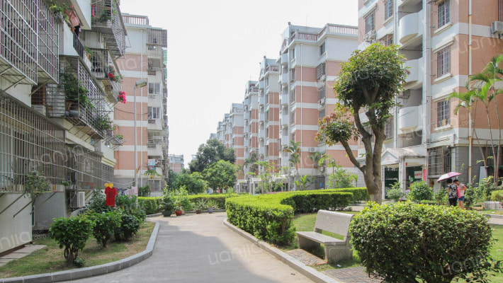 前埔南区文兴东一里外景图