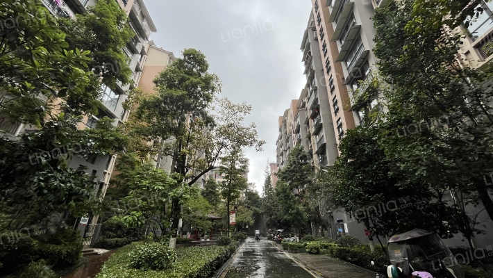 愿景青城雪外景图