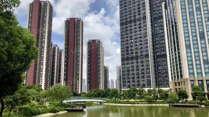 万科金域中央C区外景图