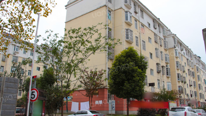 新年新村外景图