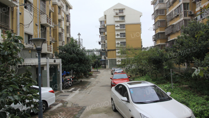 燕华花园外景图