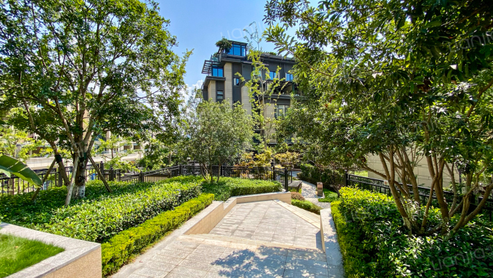 保利堂悦杏园外景图